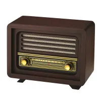 Promosyon baskılı radyo çeşitleri