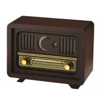 Promosyon nostalji radyo platin